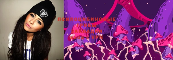 прущий лед Алексин