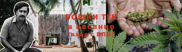 прущий лед Алексин