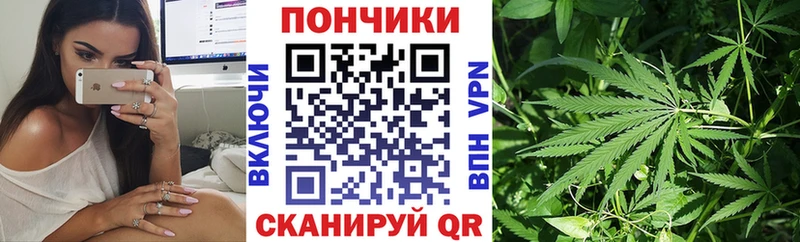 дарнет шоп  Навашино  Каннабис THC 21% 